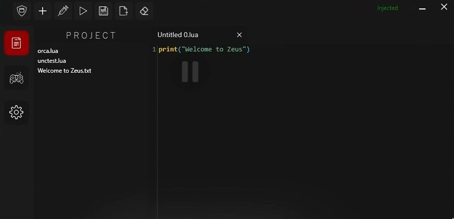 Zeus Executor UI Interface Overview
